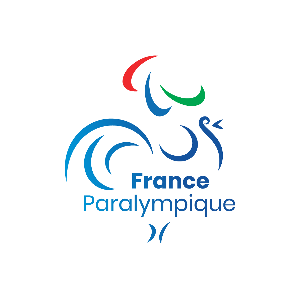 Comité Paralympique et Sportif Français (CPSF)